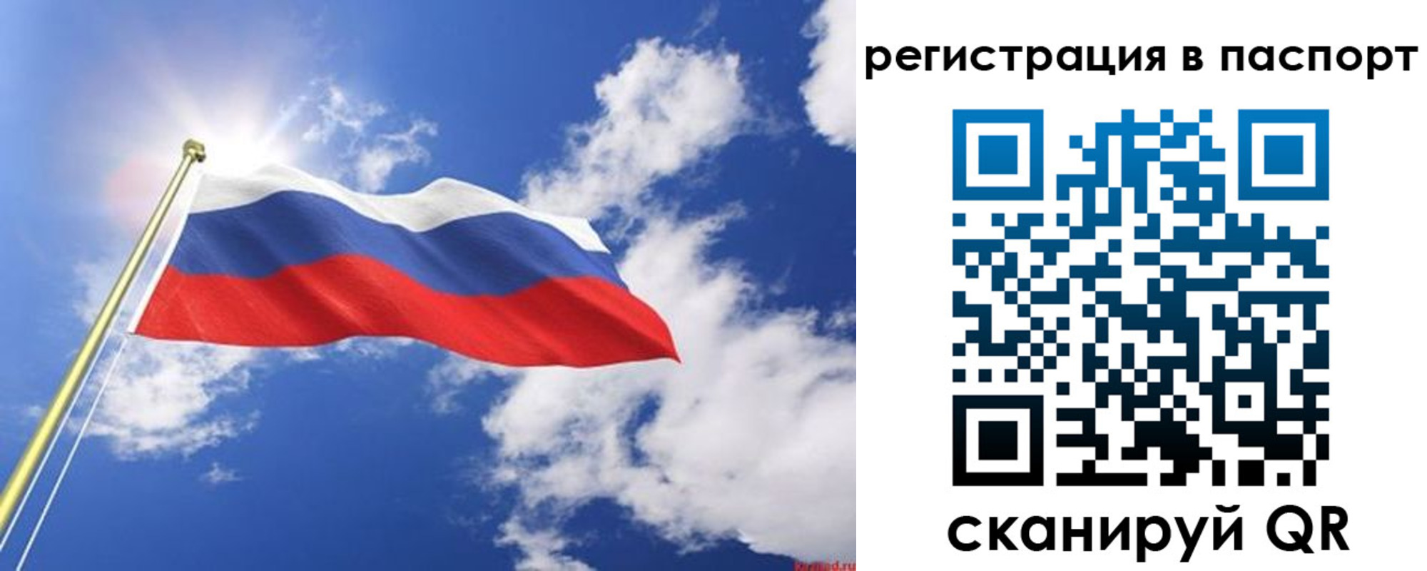 прописка законно в Щёкино